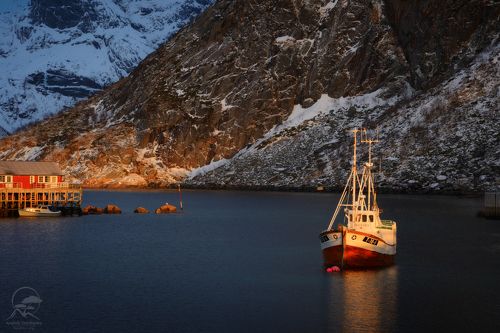 HAMNOY