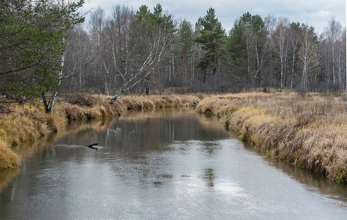 Назад в весну! ... и обратно)