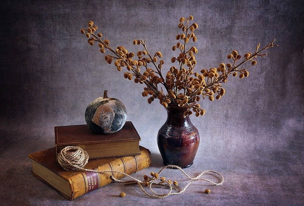 , Ela Drzazga