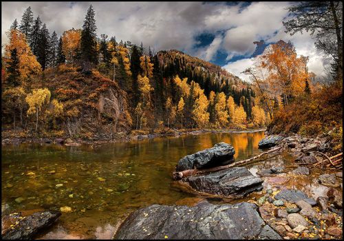 Золотая Река