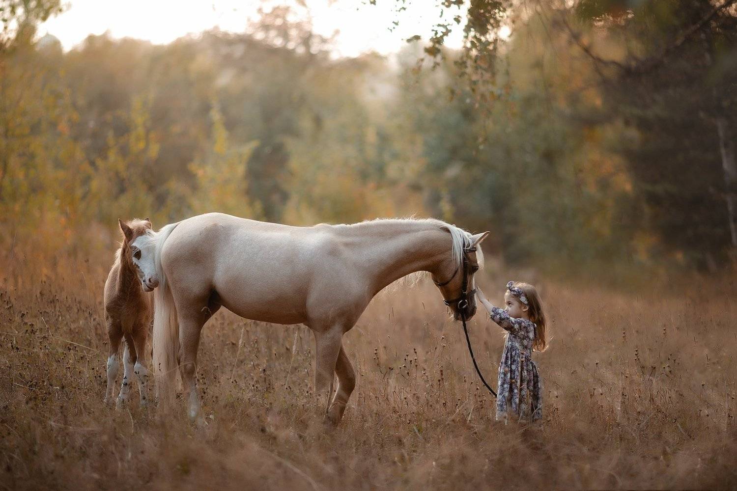 , Юлия Соболева