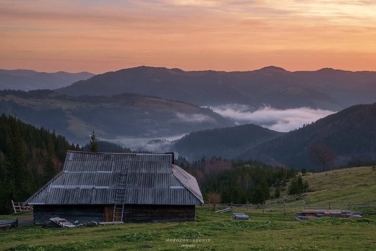 карпаты., украина., зима., пейзаж., снег., карпатский., гора., красивый., небо., природа., дерево., холод., мороз., путешествия., белый., сезон., ель., лес., фон., снежный., горы., зимний., утро., отдых., солнце., лед., изморозь., иней., сцена., синий., с, Леонид Морозов