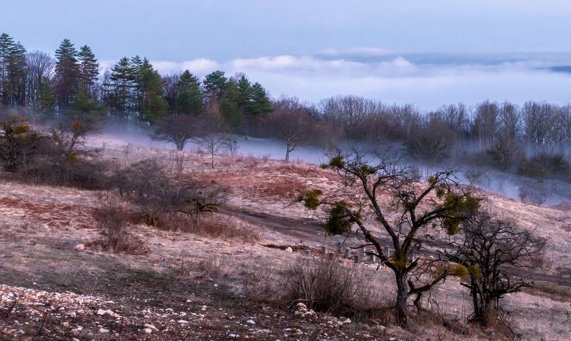 Сезон туманов фото превью