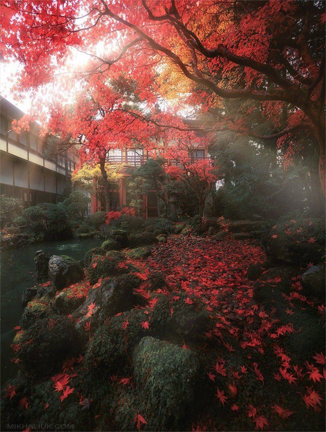 , Михалюк Сергей *