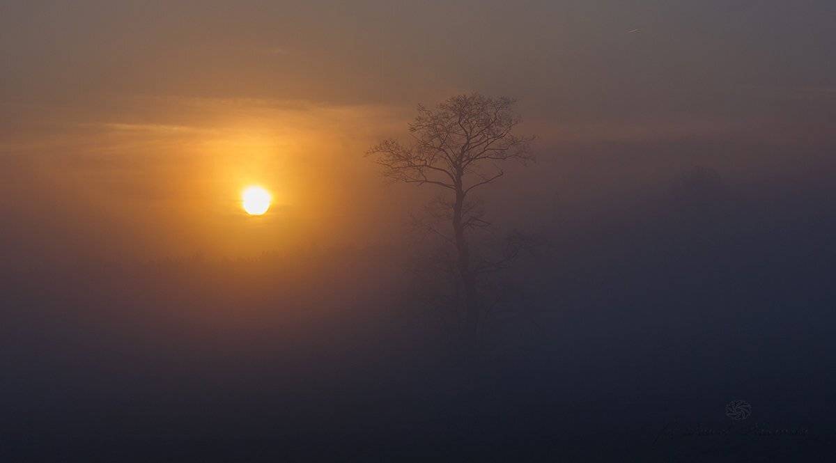 , Pawel Plucinski