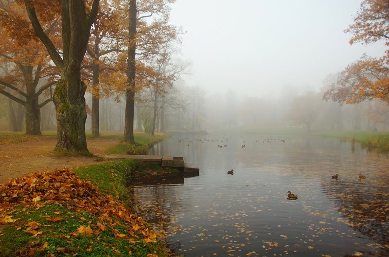 Autumn morning... фото превью