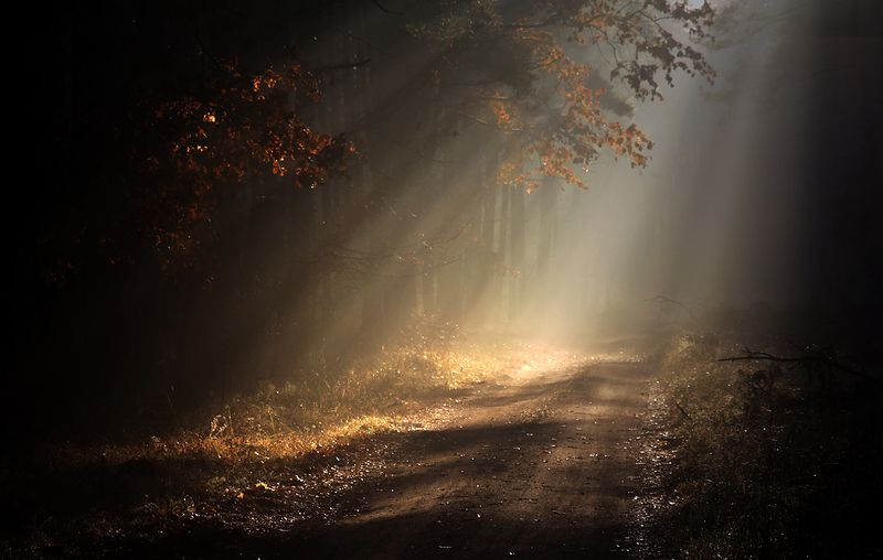 ... фото превью