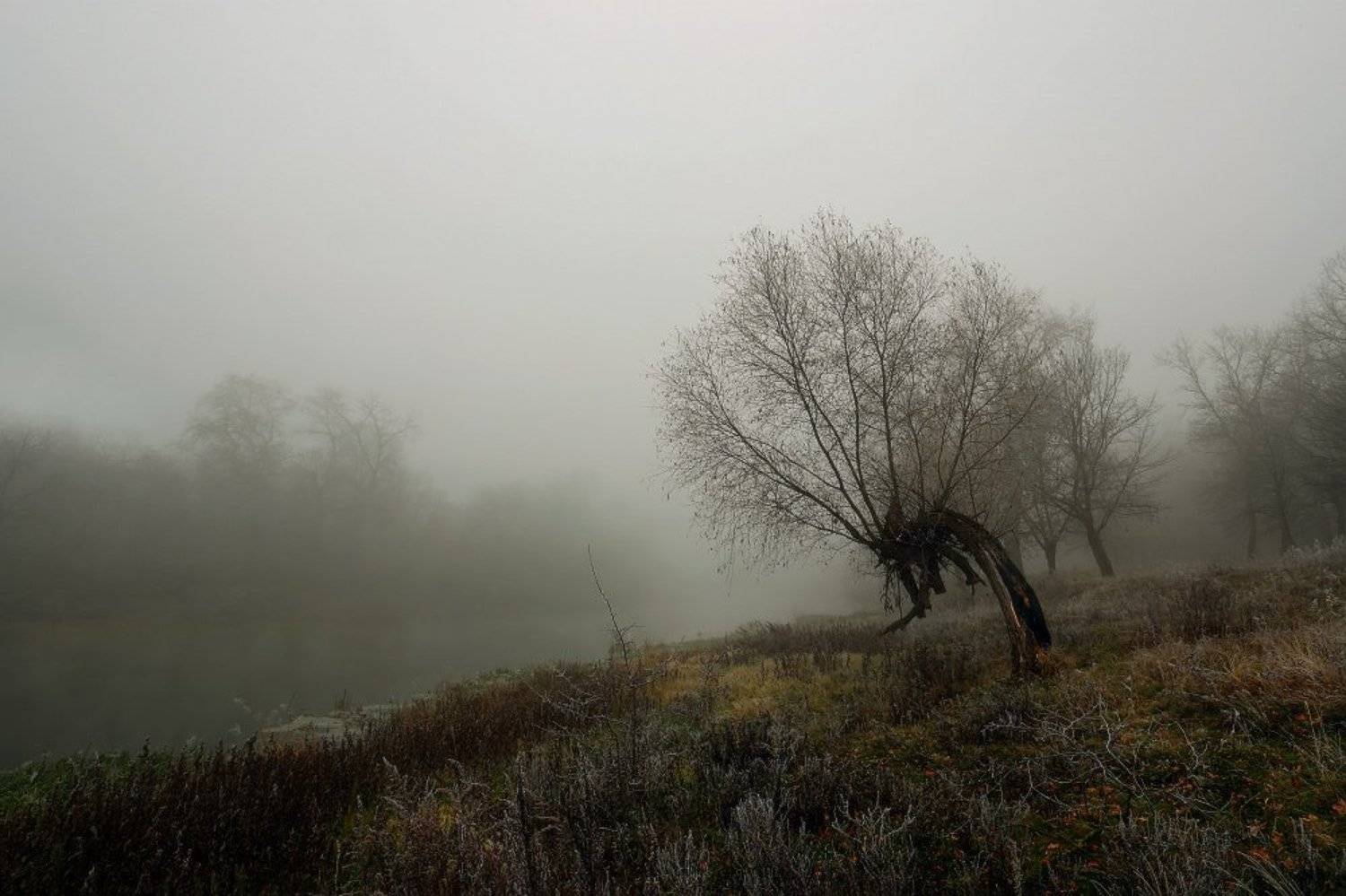 осень, октябрь, , река, вечер, туман, иней, мороз, Петриченко Валерий