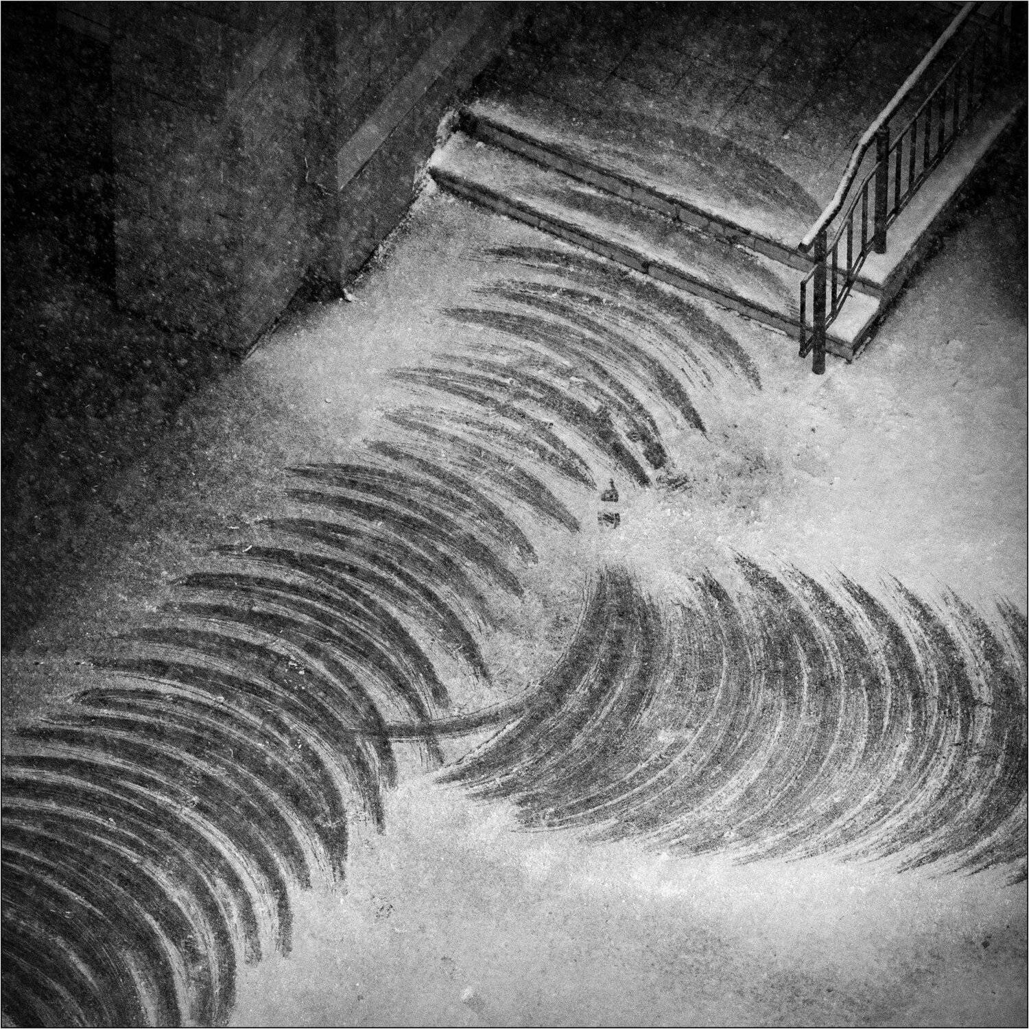 , Алексей Федотов