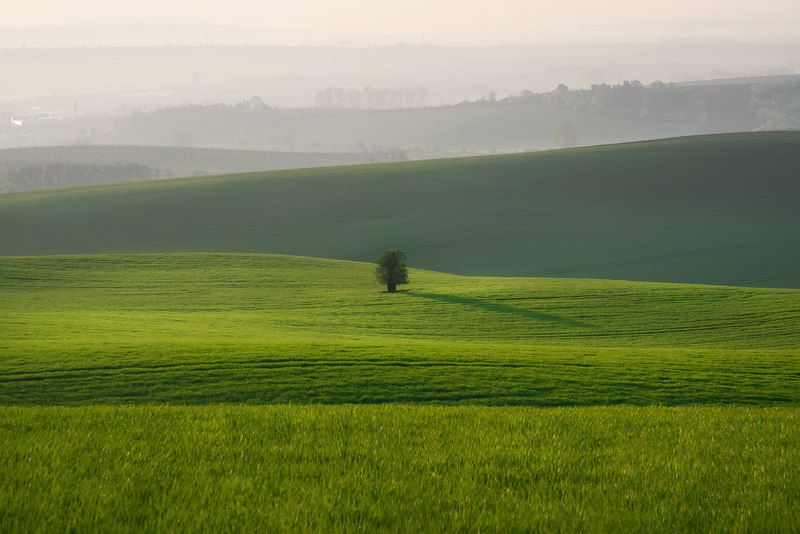 Утро в Моравии фото превью