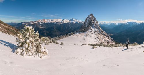 Закан ноябрьский