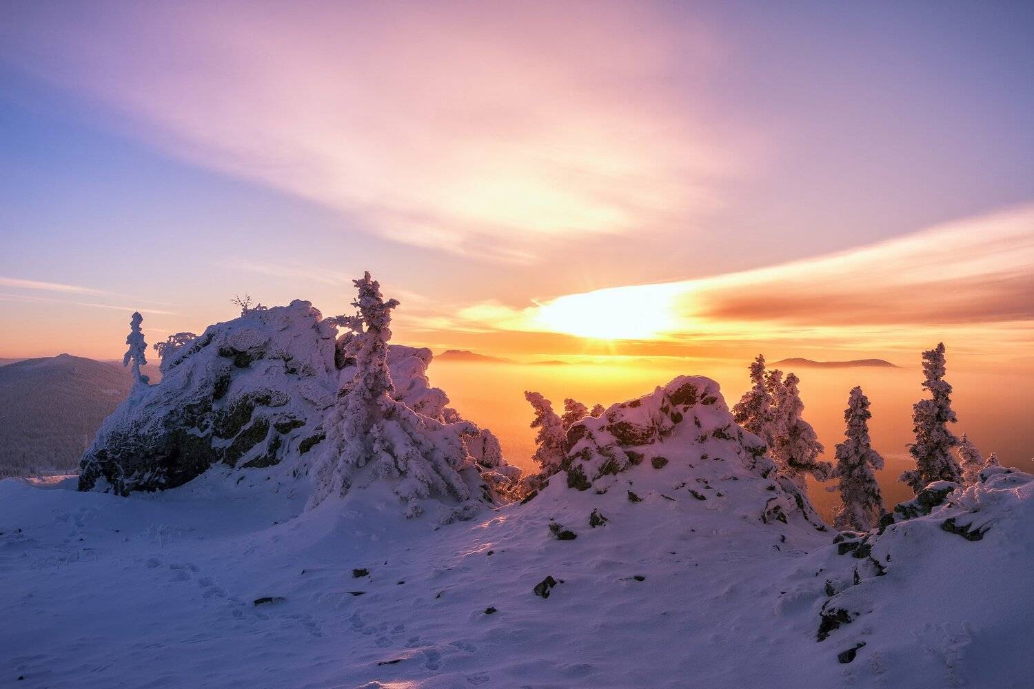 , Андрей Шарапов