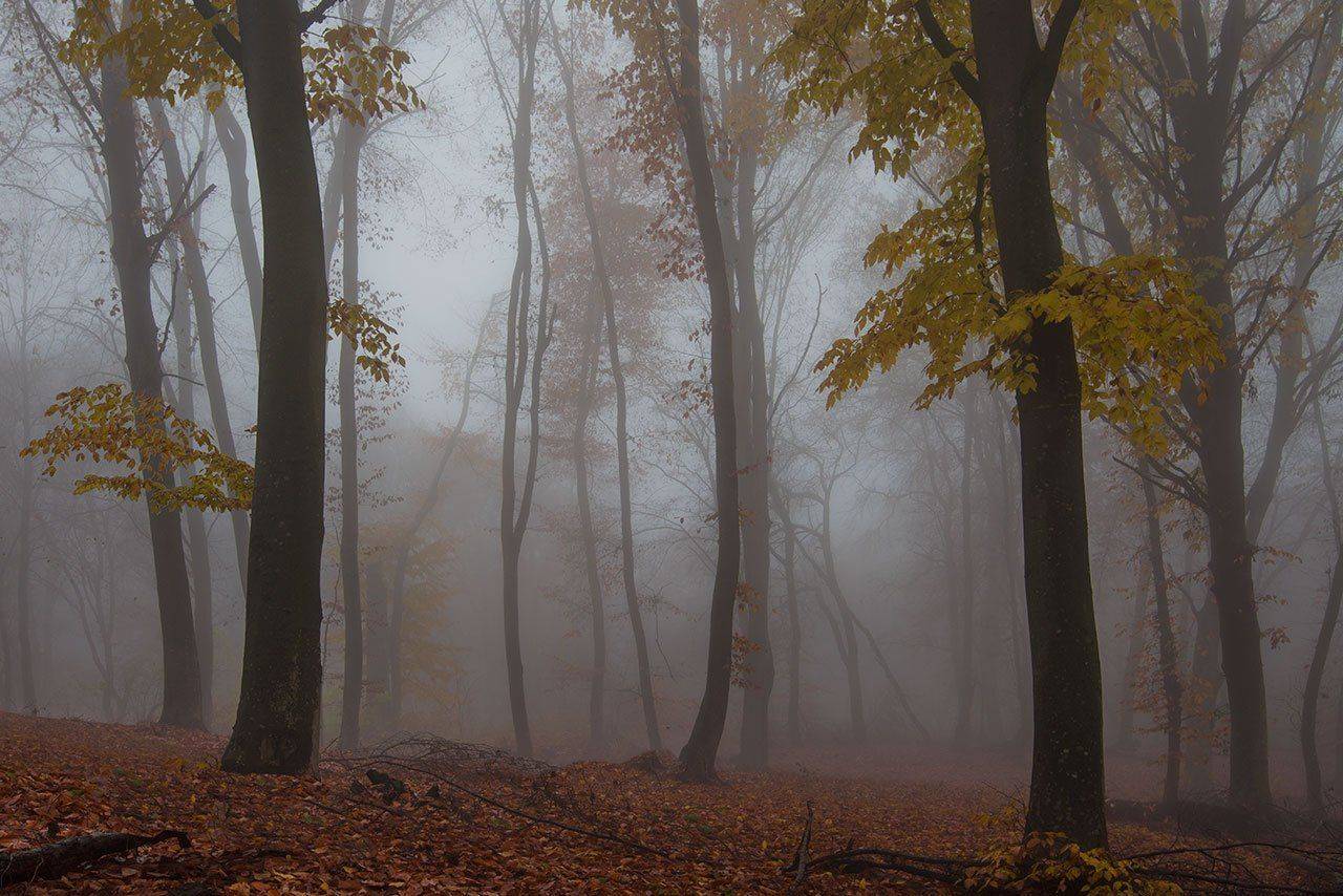 кизиловка, нальчик, кабардино-балкария, Хасан Журтов