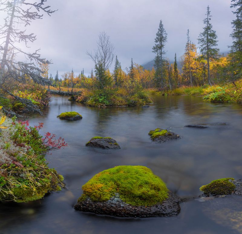 Зеленые камни фото превью
