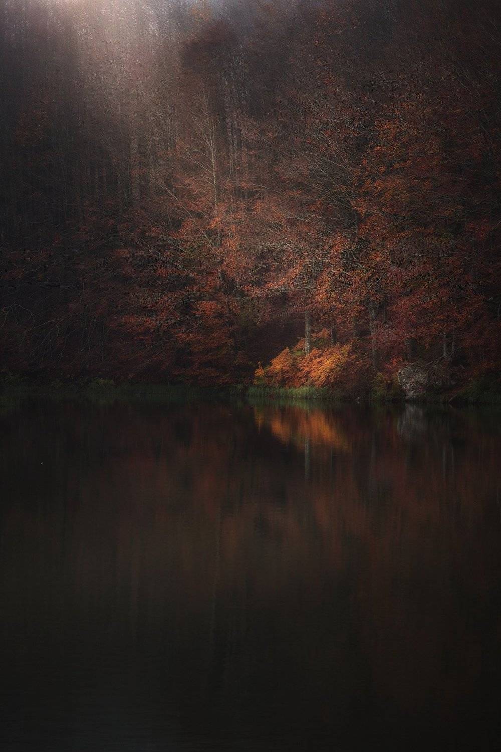 red autumn soft, Silvano Sil Passalacqua