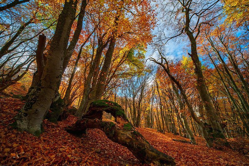 _ фото превью