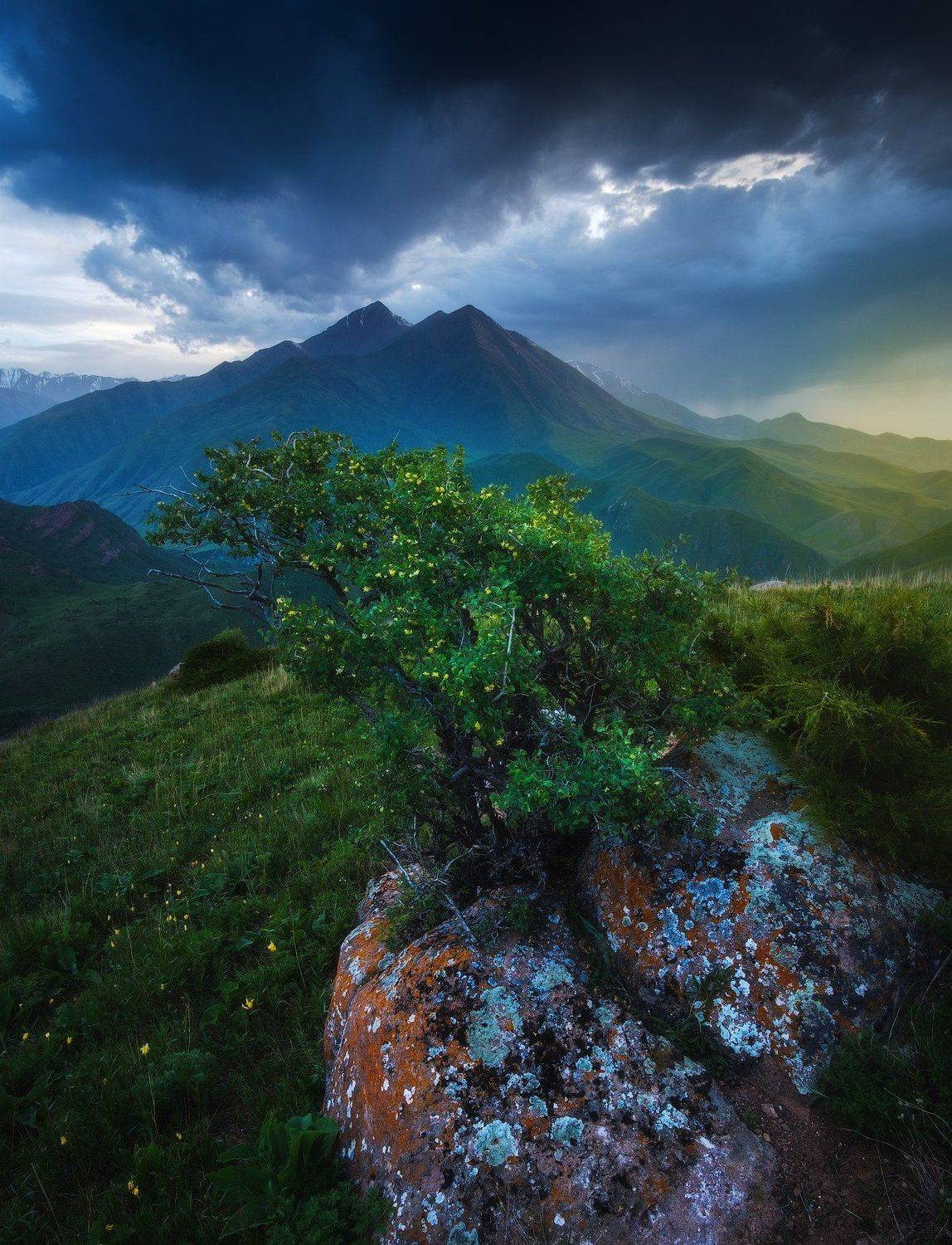 киргизия, кыргызстан, средняя азия, горы, каньон, скалы, пейзаж, лето, ущелье, вечер, закат, Оборотов Алексей