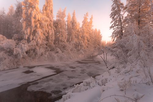 Рождественское утро