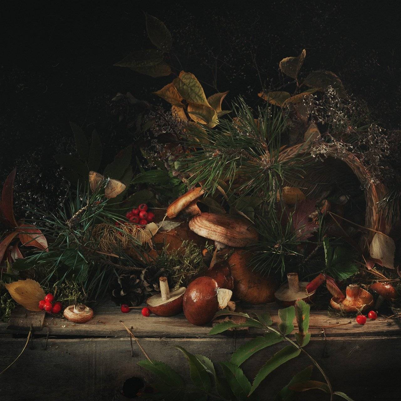 грибы, натюрморт, Бабинцева Мария