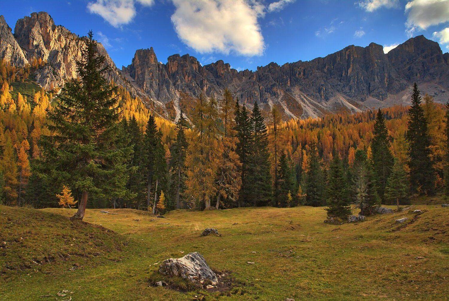 , Игорь Дубровский