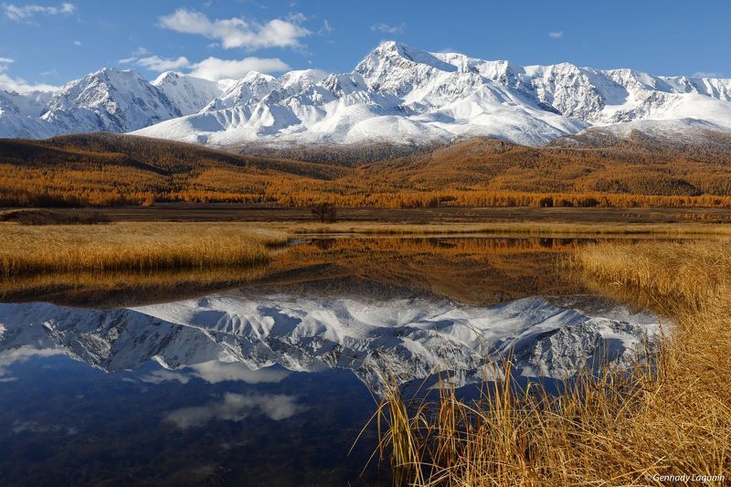 алтай, altai, осень, autumn, горы, mountains, озеро, lake В зеркальном плену фото превью