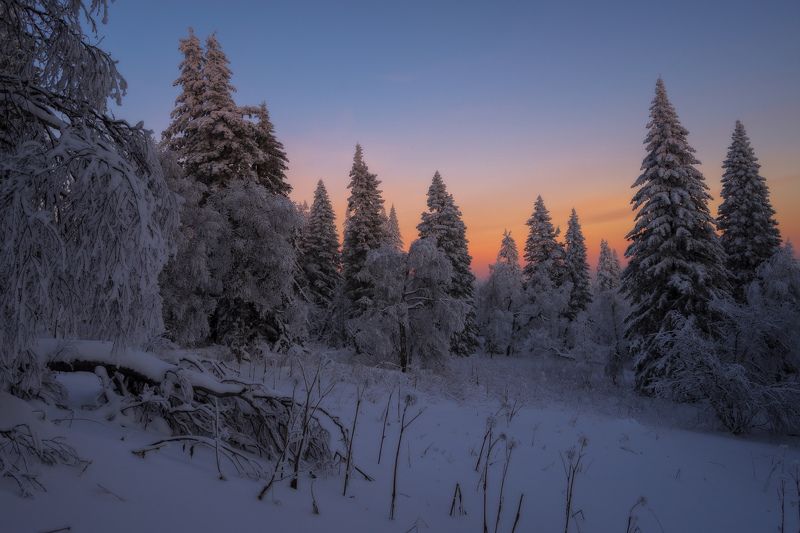 ******* фото превью