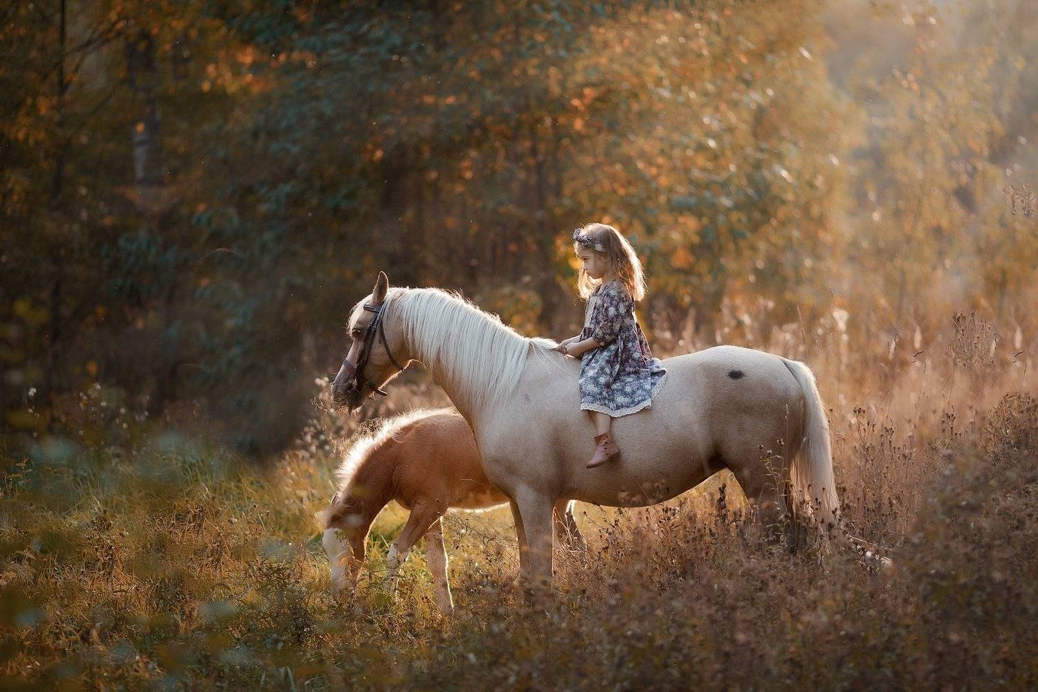 , Юлия Соболева