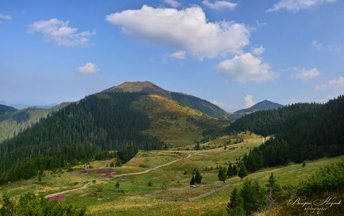 По карпатским горным дорогам