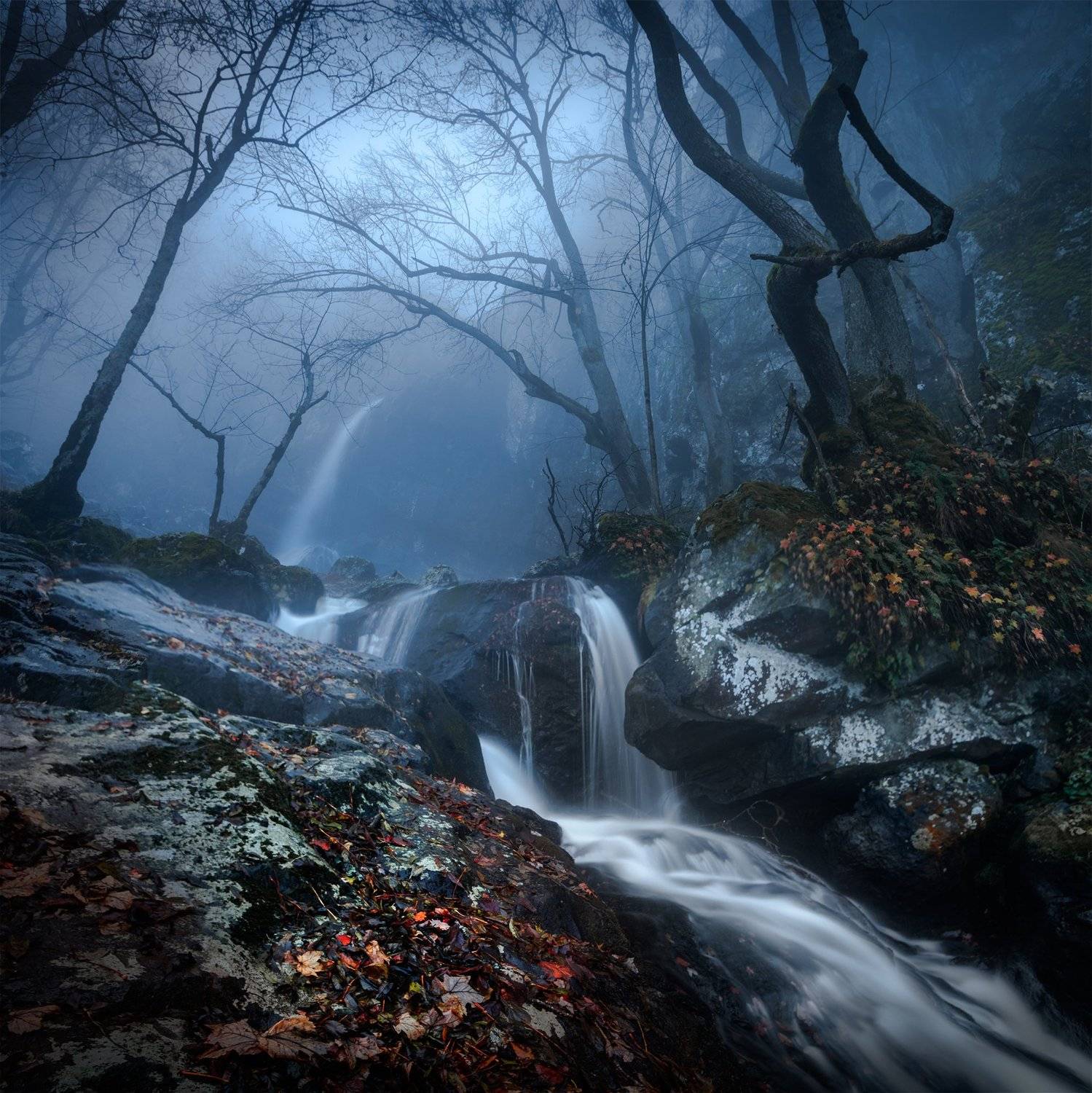 landscape, nature, scenery, forest, wood, mist, misty, fog, foggy, waterfall, fall, autumn, mountain, vitosha, bulgaria, туман, лес, Александър Александров