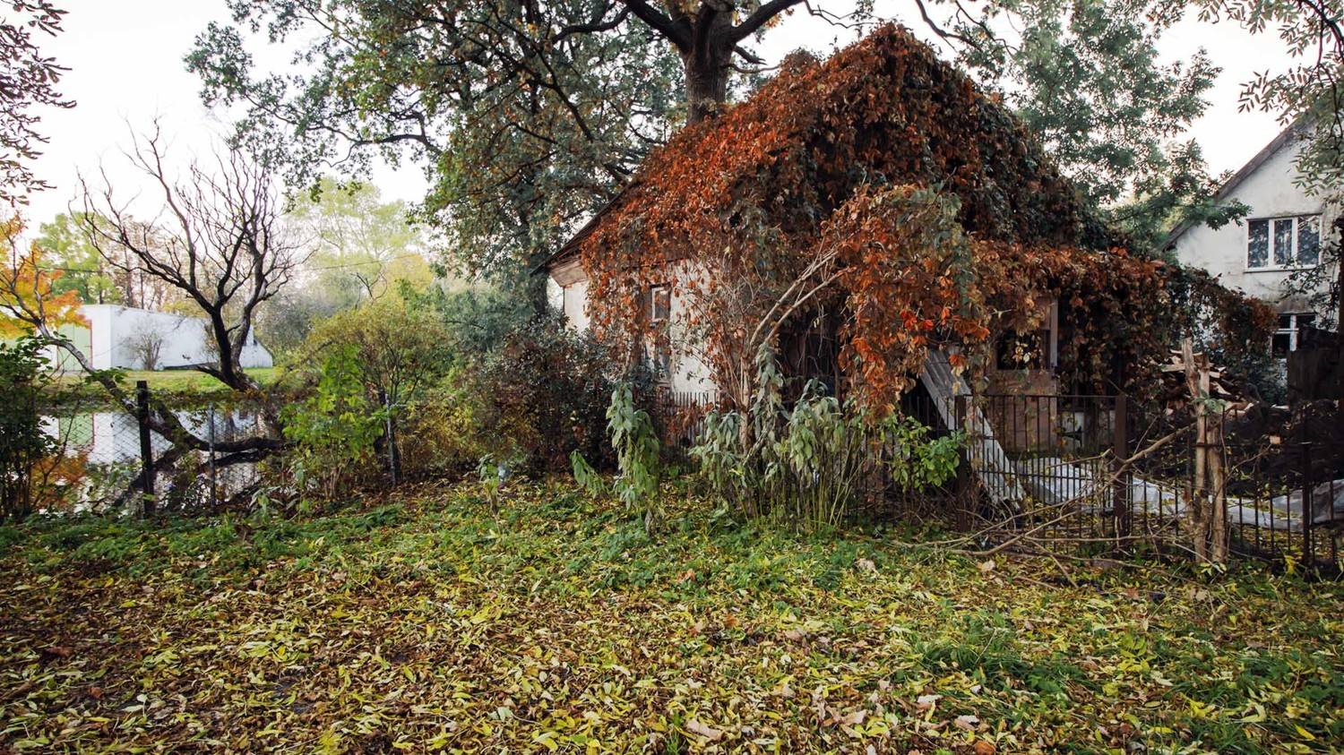 , Павел Дунюшкин