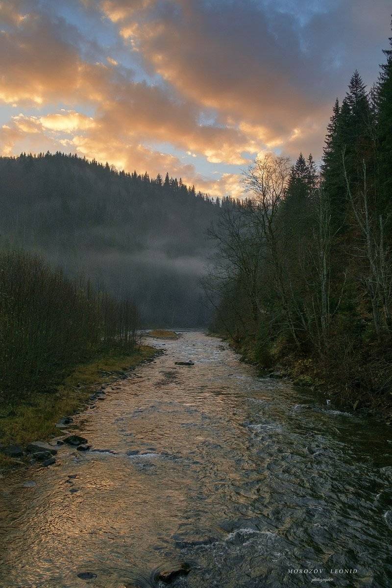 карпаты., украина., зима., пейзаж., снег., карпатский., гора., красивый., небо., природа., дерево., холод., мороз., путешествия., белый., сезон., ель., лес., фон., снежный., горы., зимний., утро., отдых., солнце., лед., изморозь., иней., сцена., синий., с, Леонид Морозов