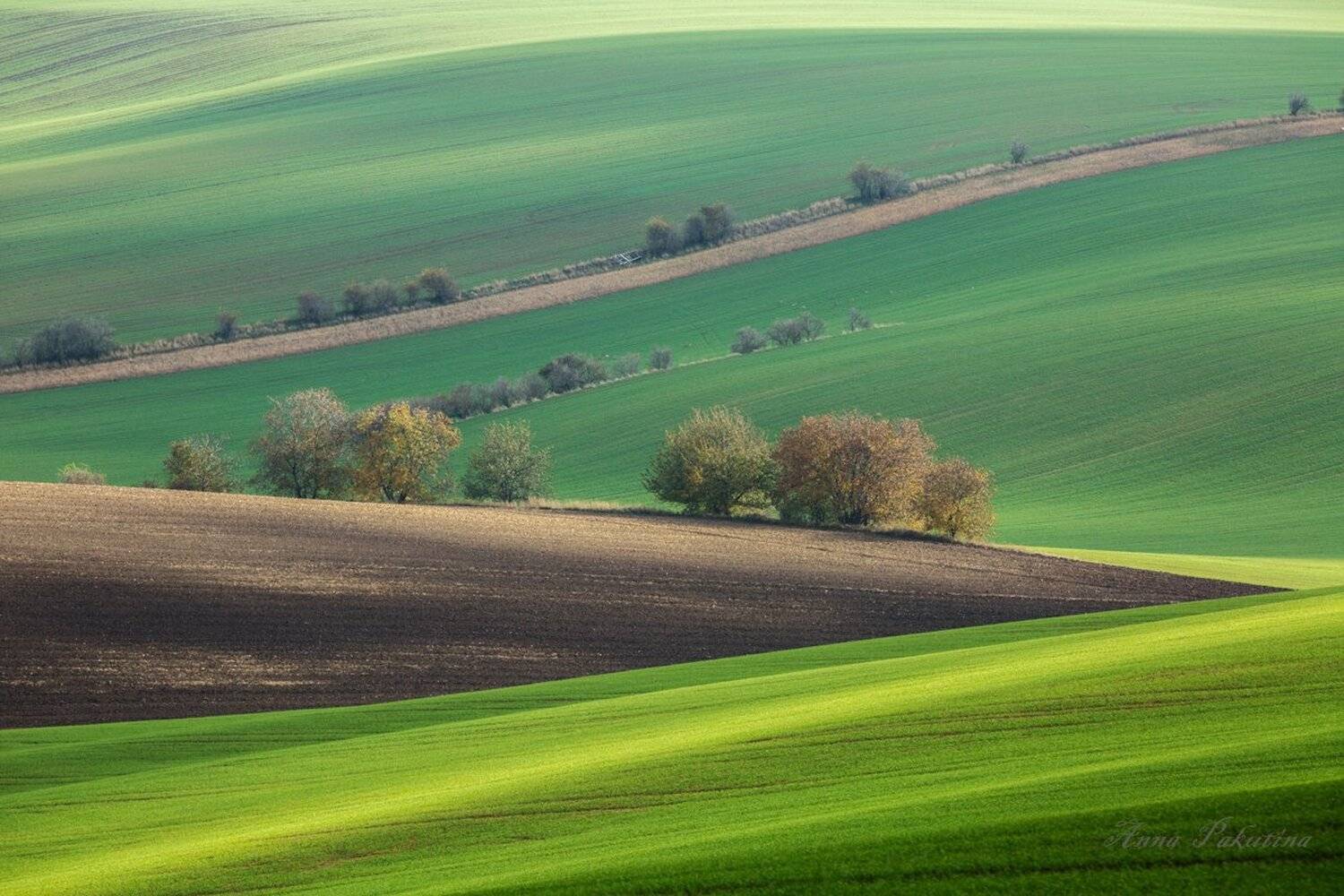 моравия, пейзаж, Анна Пакутина