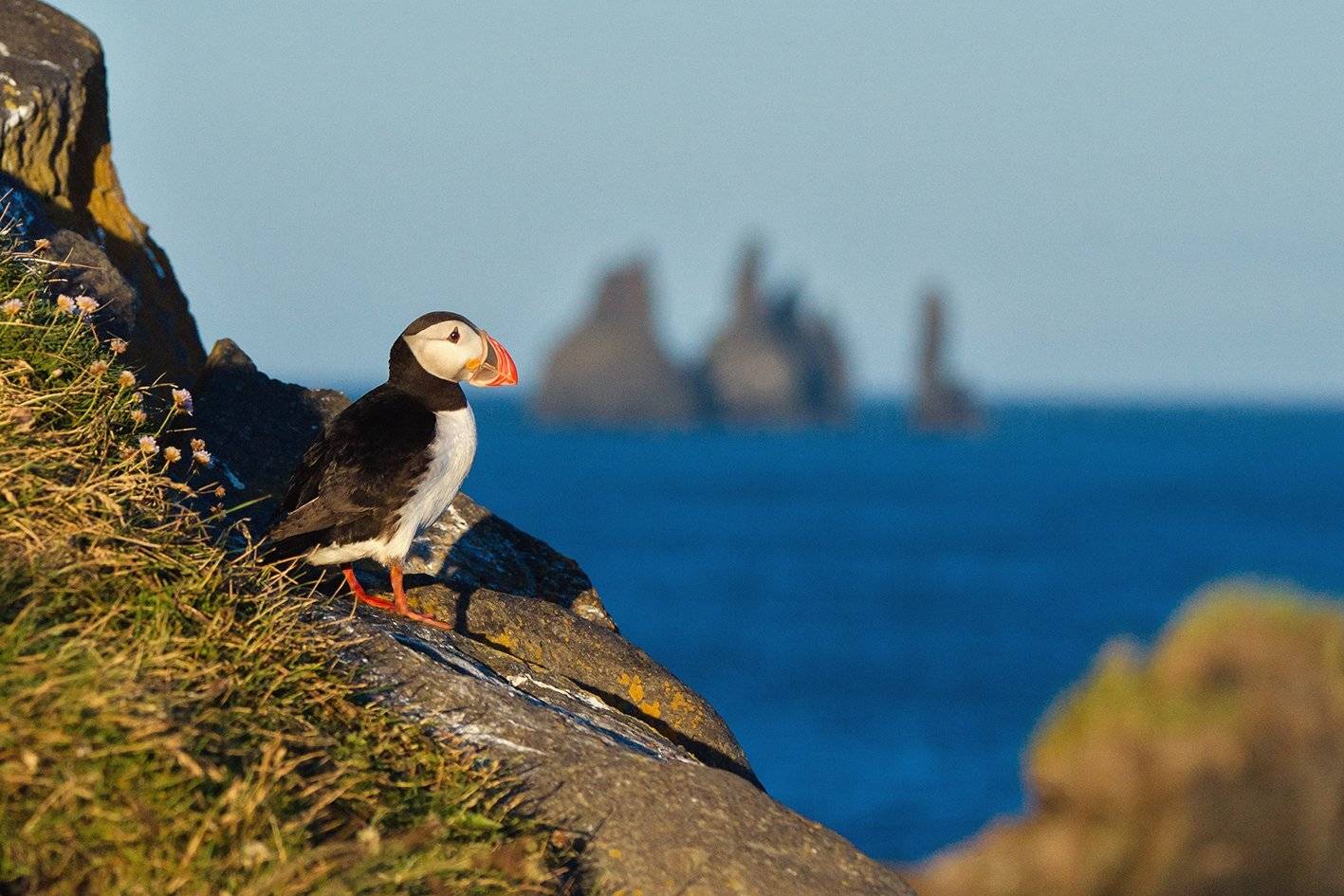 тупики, исландия, iceland, Татьяна Ефименко