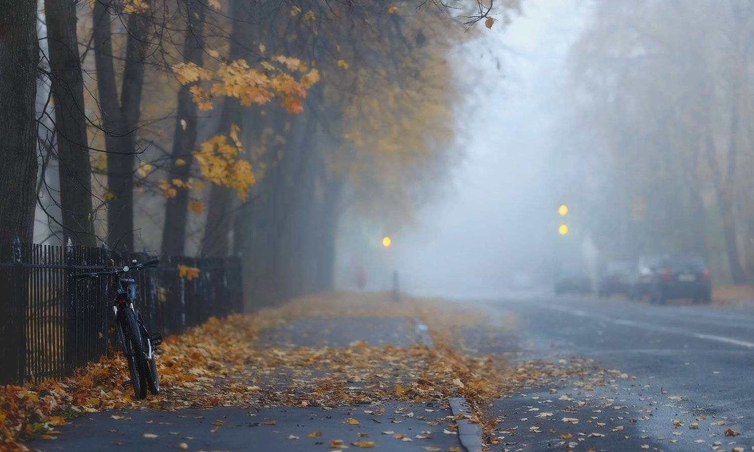 питер, осень, пушкин, спб, пейзаж, царское село, landscape,tsarskoye selo , autumn,  городской пейзаж, туман,  санкт-петербург, Таня SHE (Aiya)