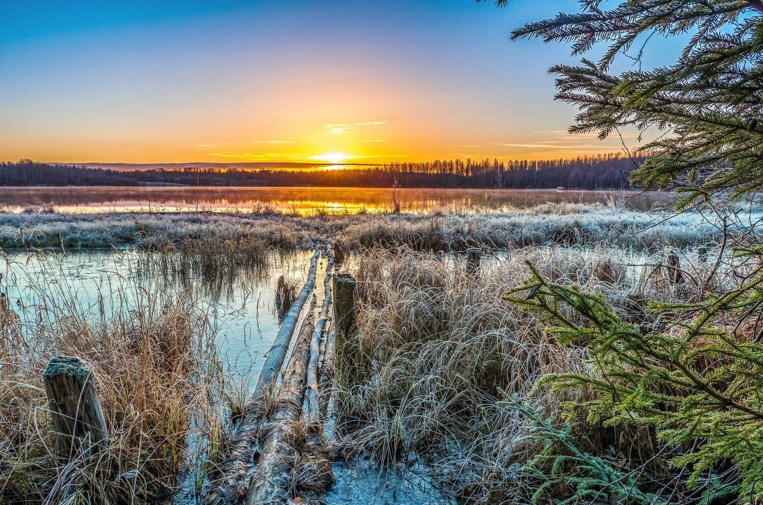 , Олег Авдеев