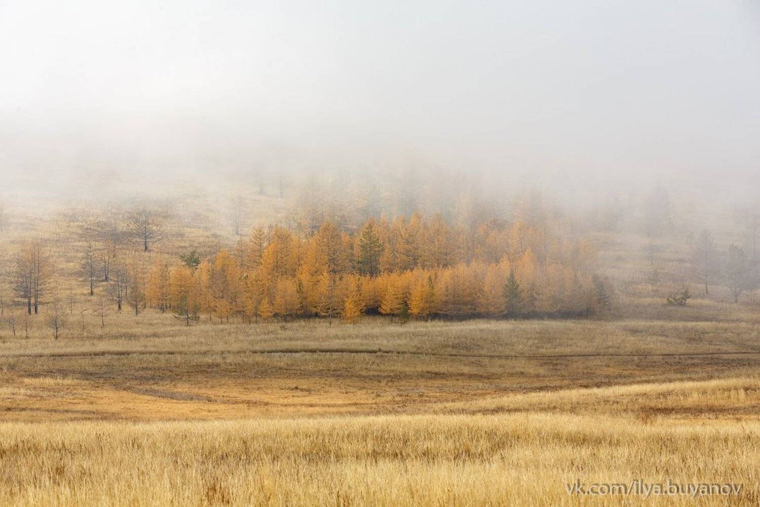 , Илья Буянов