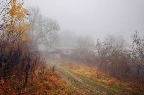 Осень в селе..