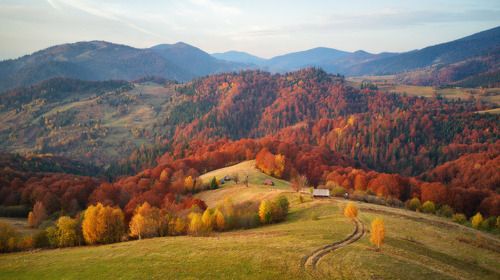 Октябрьская пастораль