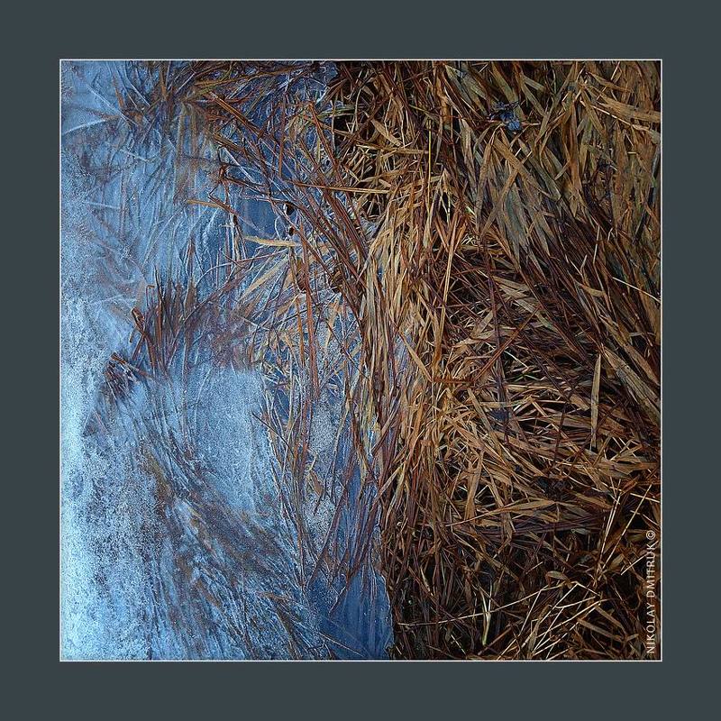 без, категории середина ноября. 2018 фото превью