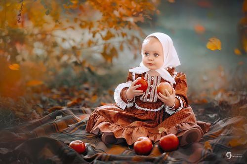 Осенние дары