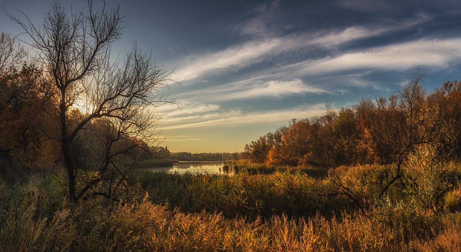 , Игорь Мелекесцев