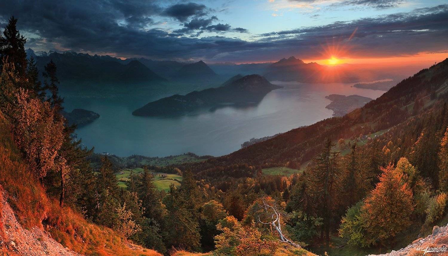 swiss, Матвеев Николай