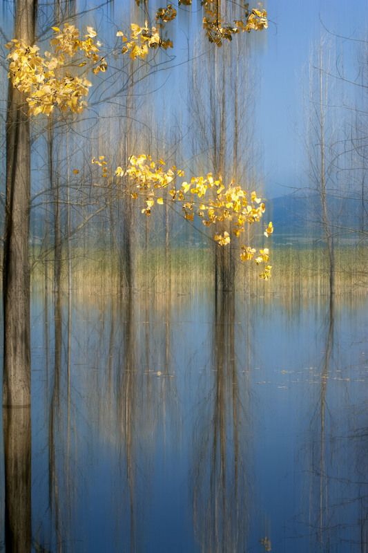 Landscape Golden autumn фото превью