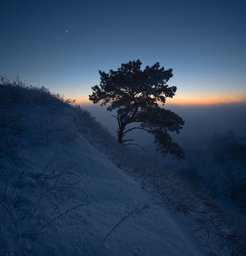 Blue Silence