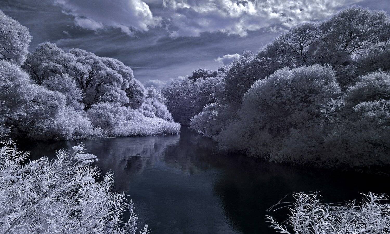 infrared,ик-фото,инфракрасное фото,инфракрасная фотография,пейзаж,природа,беларусь,лето, Sixten ( Сергей )