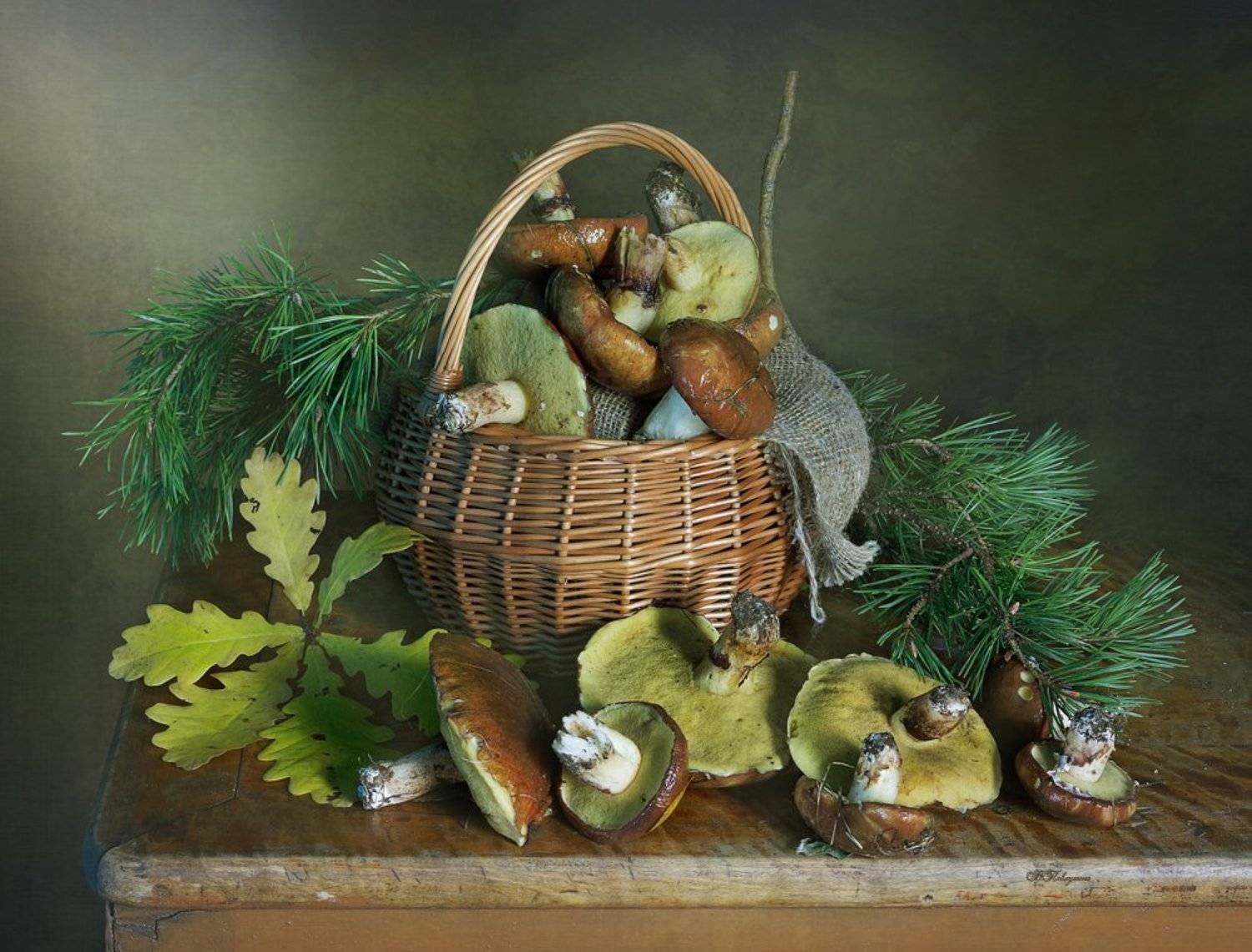 натюрморт,грибы,лесной,вера павлухина,маслята,, Вера  Павлухина