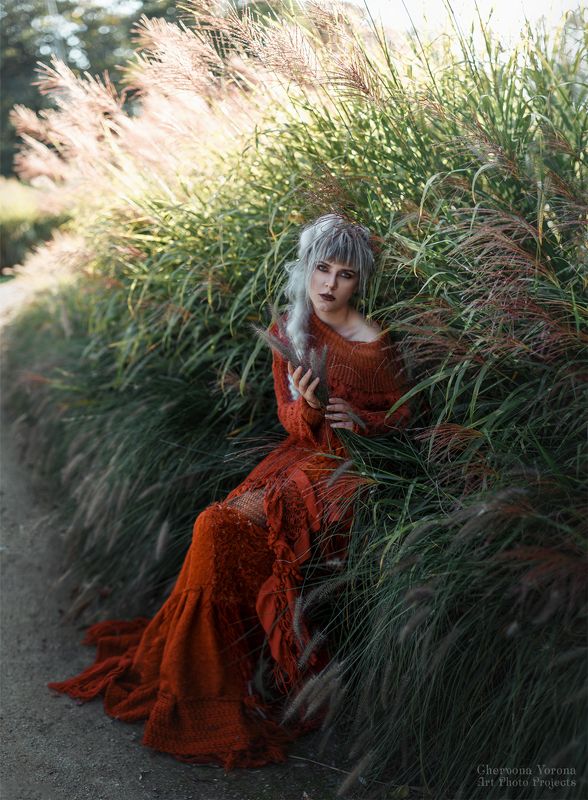 chervona vorona recluse фото превью