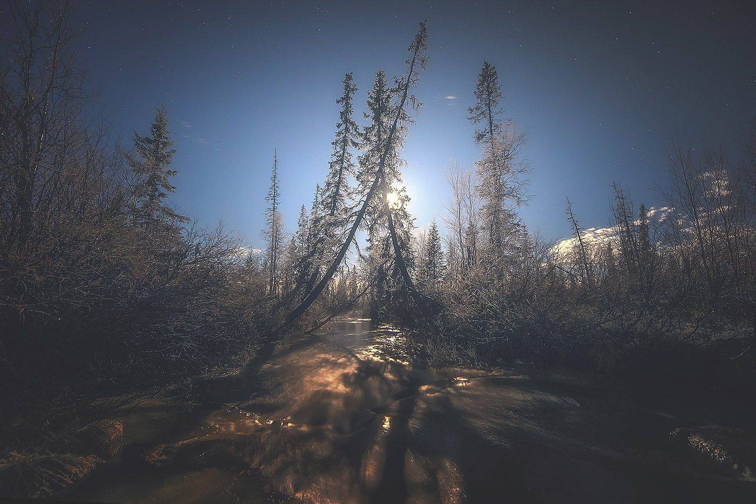 пейзаж, природа, кольский п-ов, луна, Любовь Трифонова