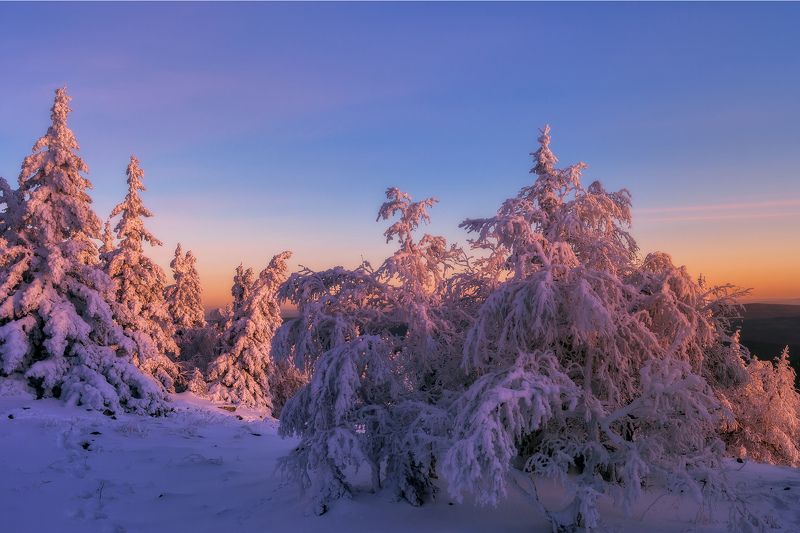 ******* фото превью