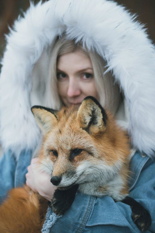 Fox story фото превью